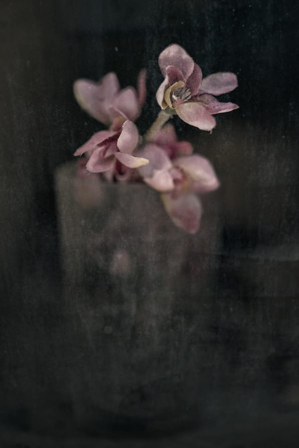 Christopher Thomas, Eternity 08, Barcelona, Spain, 2008