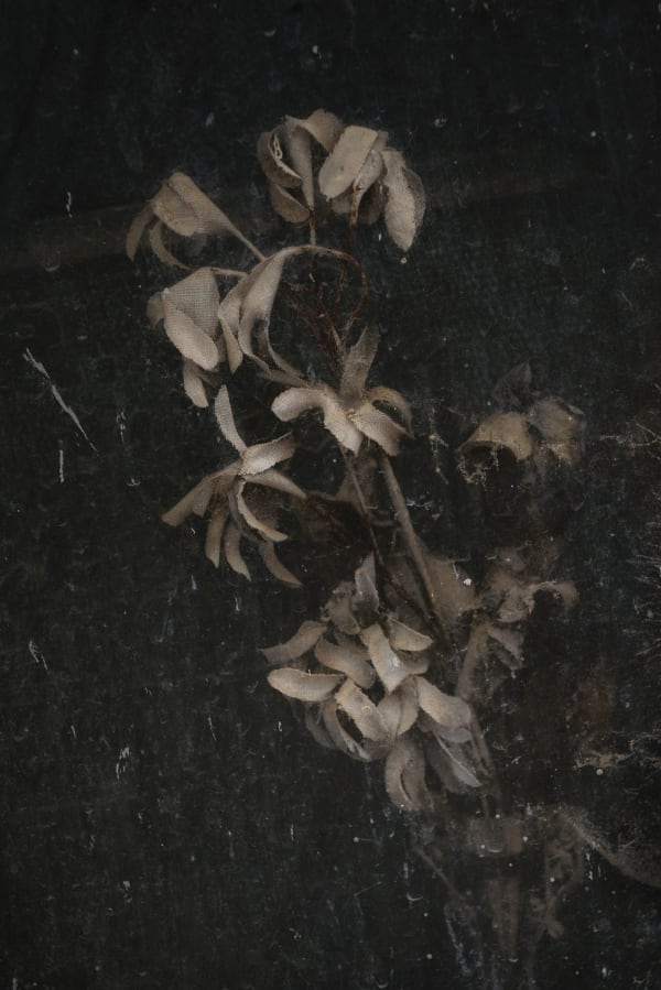 Christopher Thomas, Eternity 102, 2011