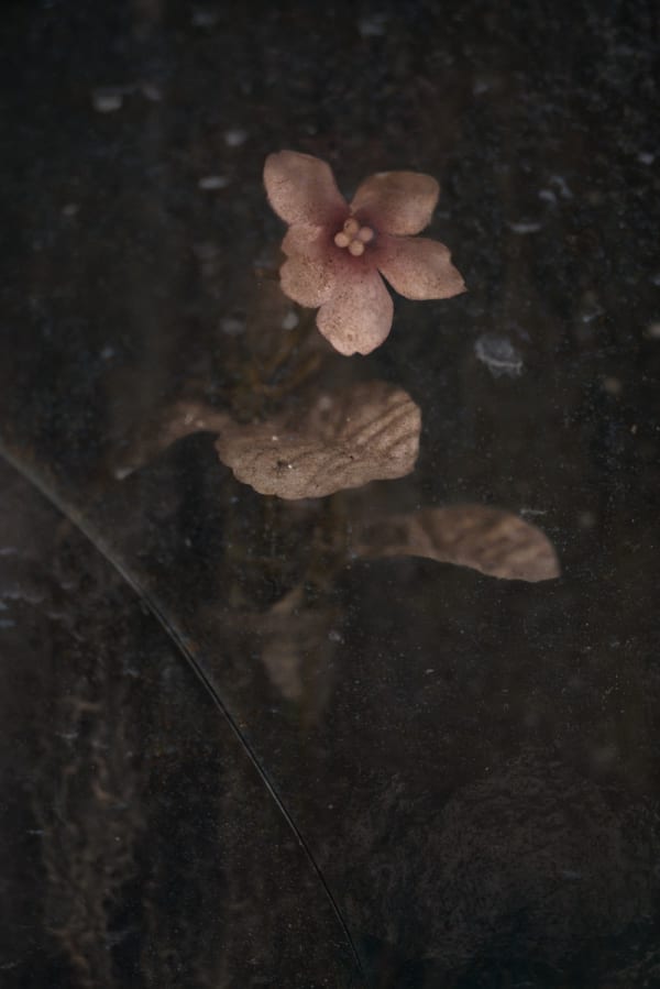 Christopher Thomas, Eternity 26, 2009