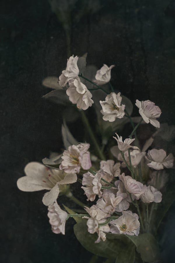 Christopher Thomas, Eternity 70, 2006