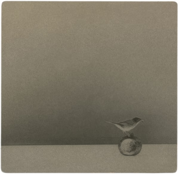 Miho Kajioka, BK0604, 2020