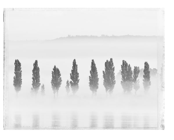 Christopher Thomas, Moos I, 2019