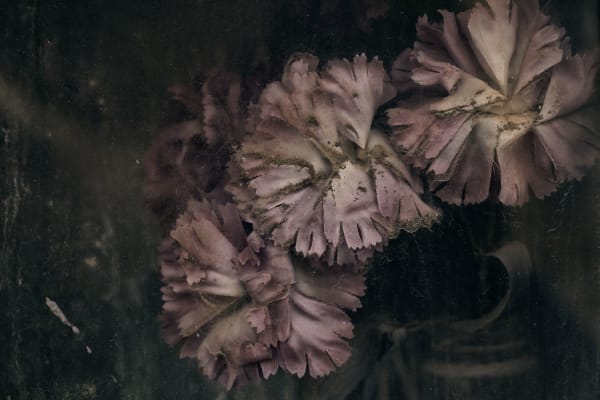 Christopher Thomas, Eternity 25, 2007