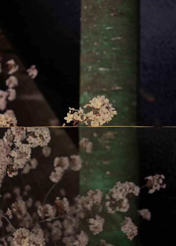 Albarrán Cabrera, Kairos, #4003, 2013