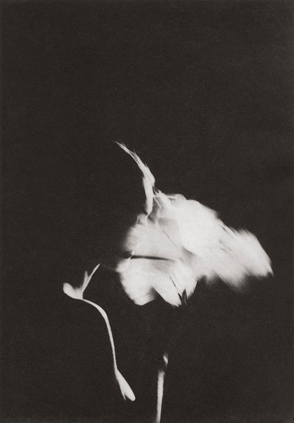 Chantal Elisabeth Ariëns, Paperwork #2, 2020