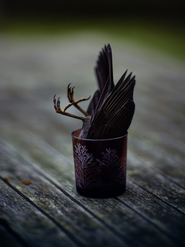 Christopher Thomas, Bittersweet 69, 2008