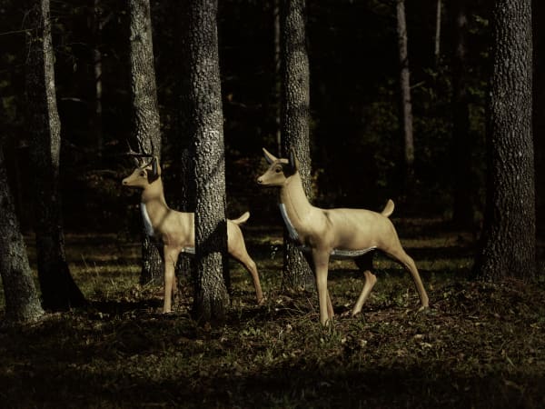 Christopher Thomas, Bittersweet 96, 2010