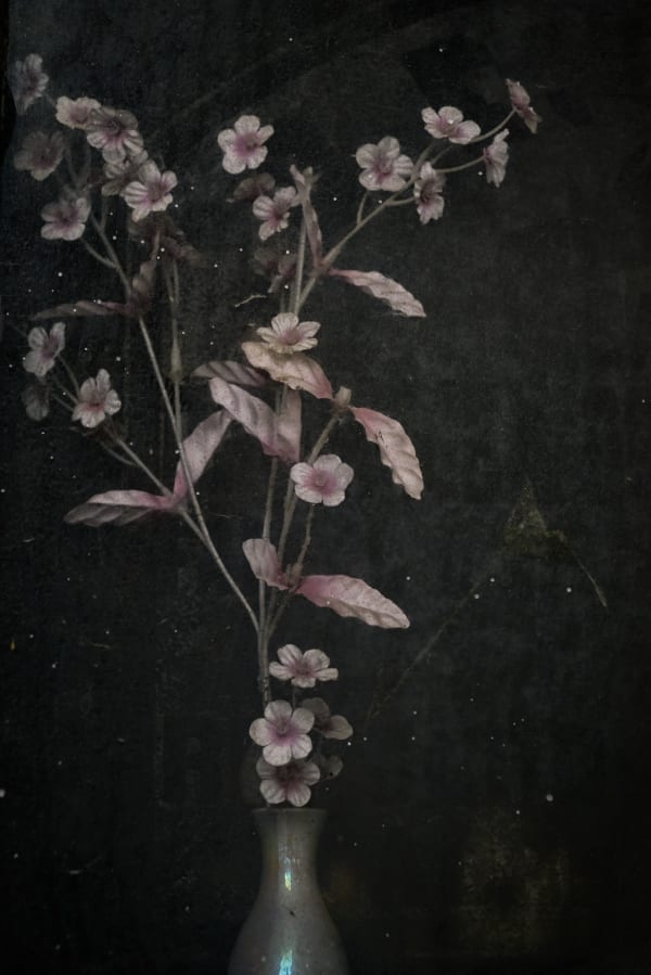 Christopher Thomas, Eternity 90, 2007