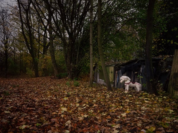 Christopher Thomas, Bittersweet 112, 2021