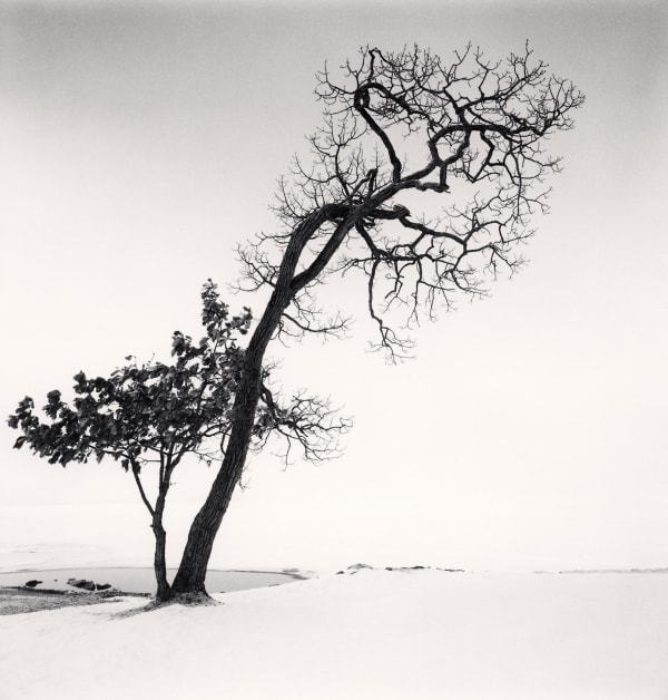 Michael Kenna, Chilly Weather, Kussharo Lake, Hokkaido, Japan, 2013