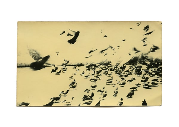 Miho Kajioka, BK0038, 2013