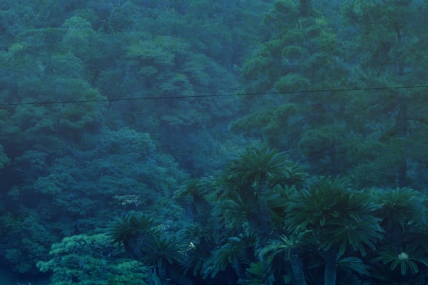 Albarrán Cabrera, The Mouth of Krishna, #490, 2016