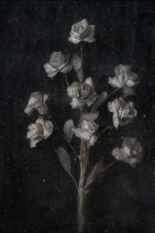 Christopher Thomas, Eternity 86, 2006