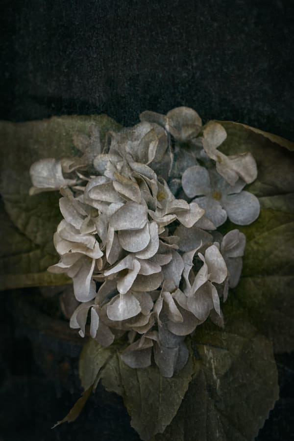 Christopher Thomas, Eternity 11, 2009