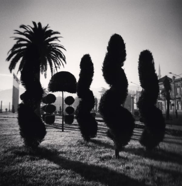 Michael Kenna, Dancing Bushes, Batumi, Georgia, 2008