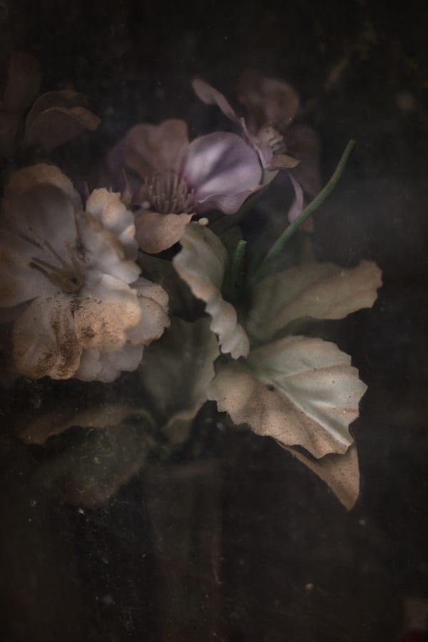 Christopher Thomas, Eternity 69, 2009