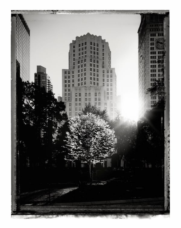 Christopher Thomas, Madison Square Park I, 2008