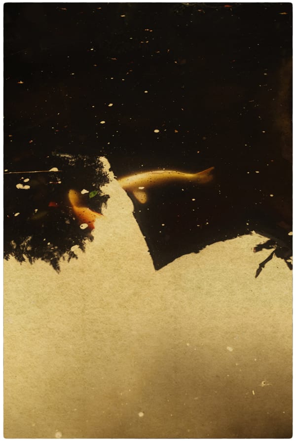 Albarrán Cabrera, The Mouth of Krishna, #148, 2013