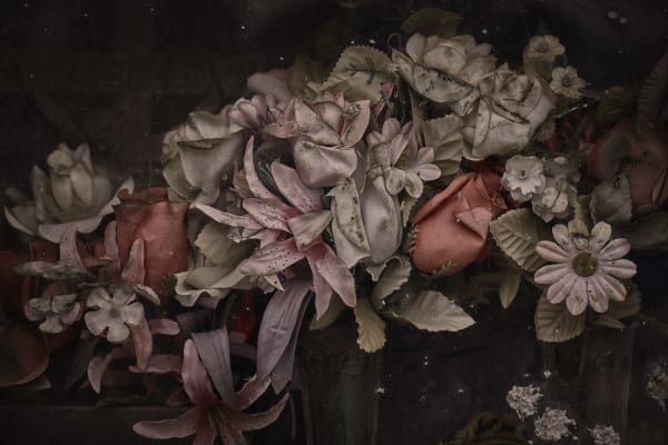 Christopher Thomas, Eternity 27, 2005