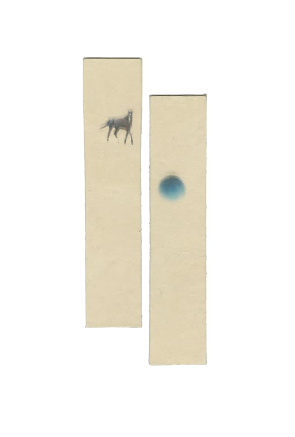 Miho Kajioka, CL0033, 2014