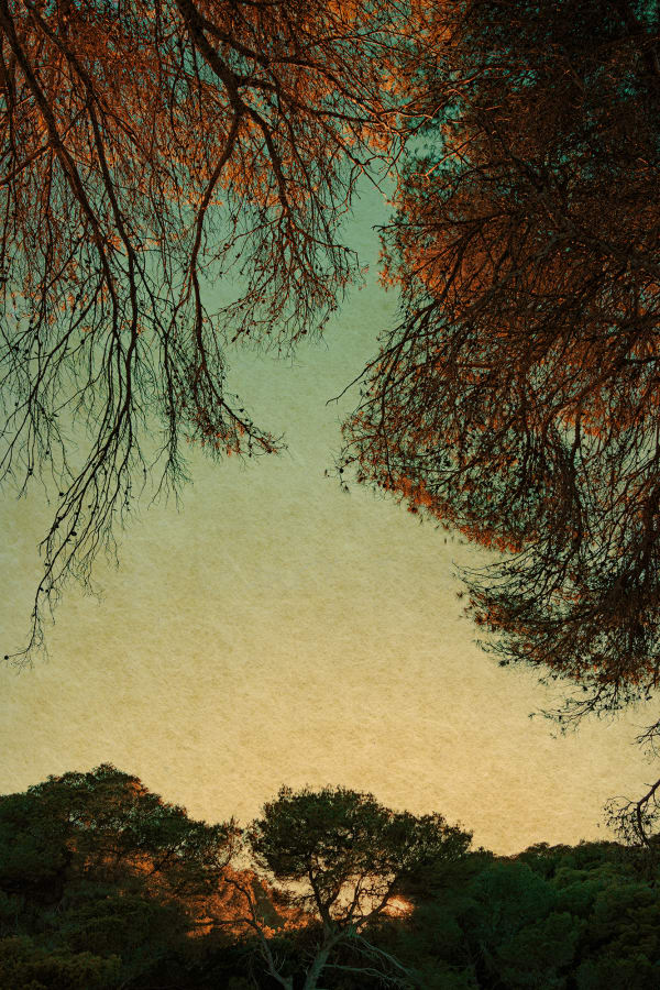 Albarrán Cabrera, The Mouth of Krishna, #640, 2019