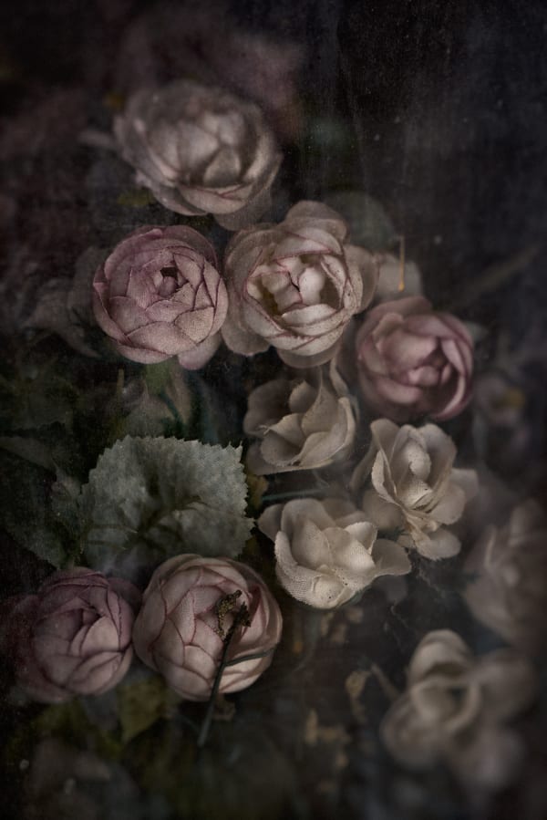 Christopher Thomas, Eternity 64, 2010