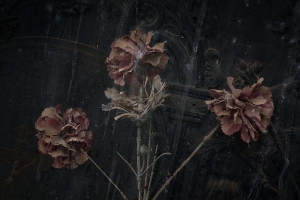 Christopher Thomas, Eternity 96, 2015