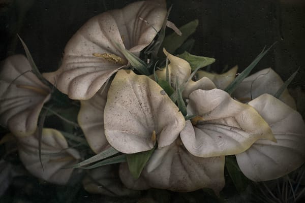 Christopher Thomas, Eternity 34, 2005