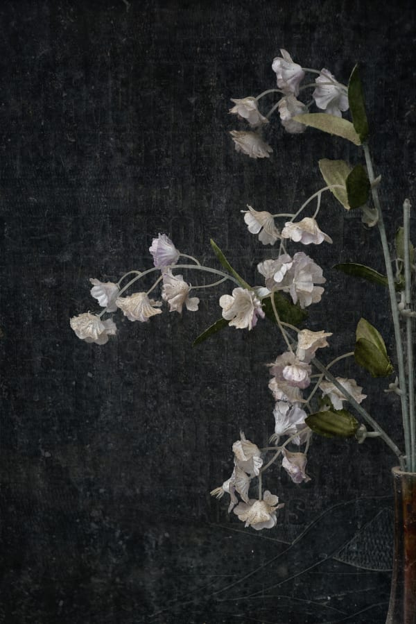 Christopher Thomas, Eternity 99, Barcelona, Spain, 2007