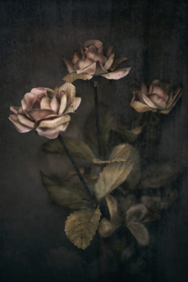 Christopher Thomas, Eternity 01, Cadiz, Spain, 2005