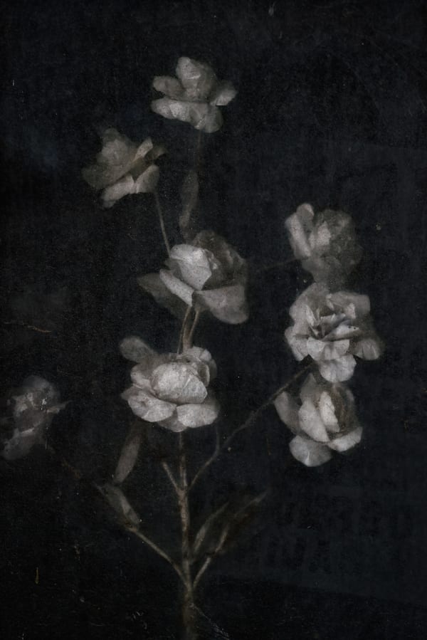 Christopher Thomas, Eternity 85, 2010