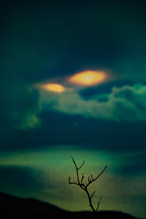 Albarrán Cabrera, The Mouth of Krishna #803, 2019