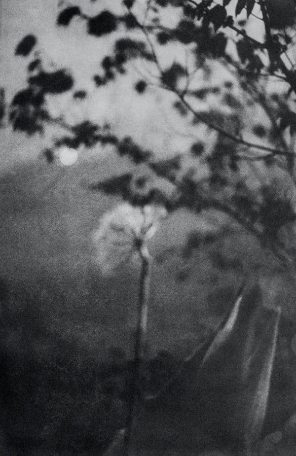 Chantal Elisabeth Ariëns, Where are you #5, 2018