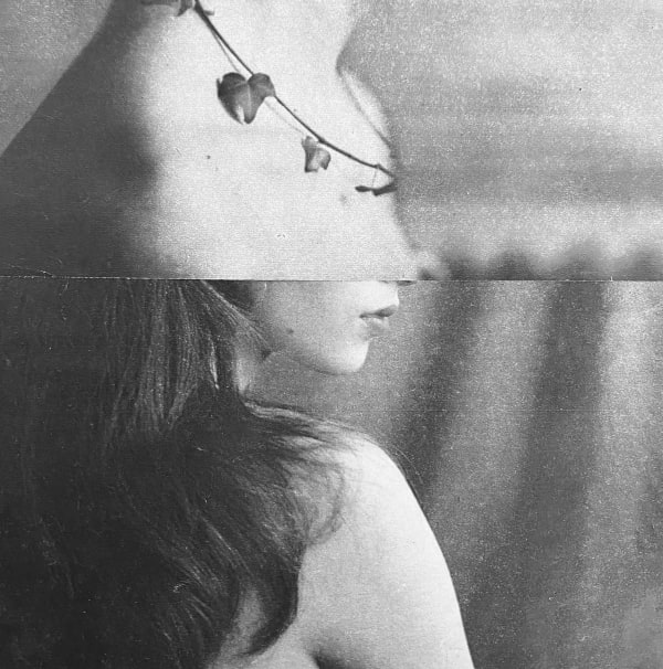 Miriam Tölke, Ivy, 2024