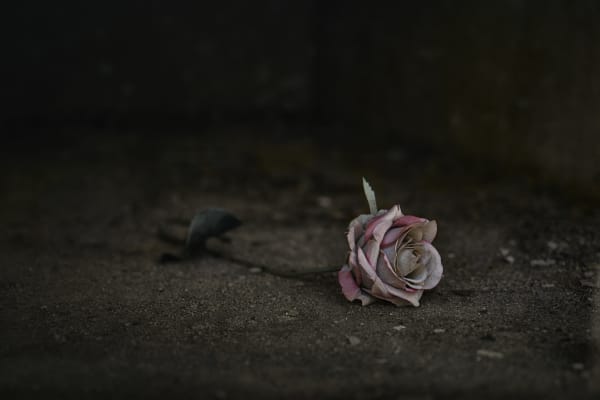 Christopher Thomas, Eternity 43, 2005