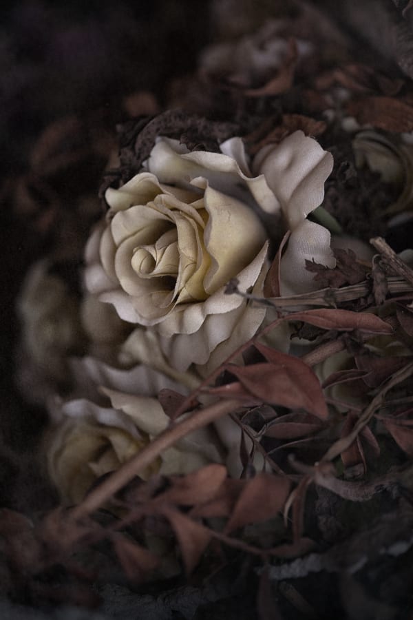 Christopher Thomas, Eternity 54, Virginia, USA, 2015