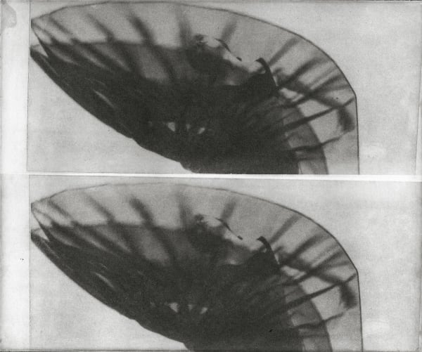 Chantal Elisabeth Ariëns, Her Own Universe / Experimental #7, 2024