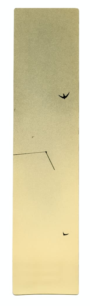 Miho Kajioka, BK0353, 2018