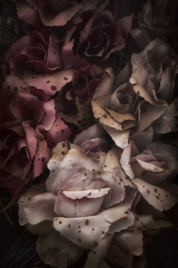 Christopher Thomas, Eternity 59, Napoli, Italy, 2011