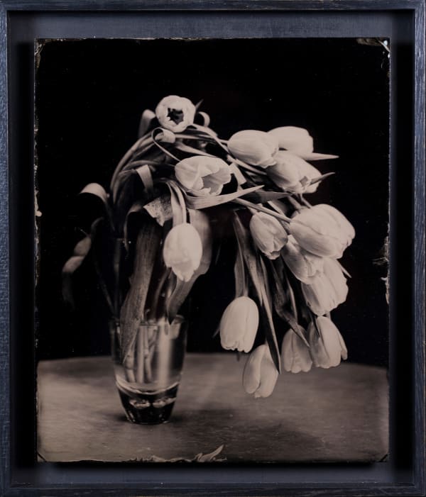 Steffen Diemer, Tulpen, WVZ 93, 2016