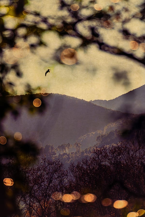 Albarrán Cabrera, The Mouth of Krishna #1021, 2024