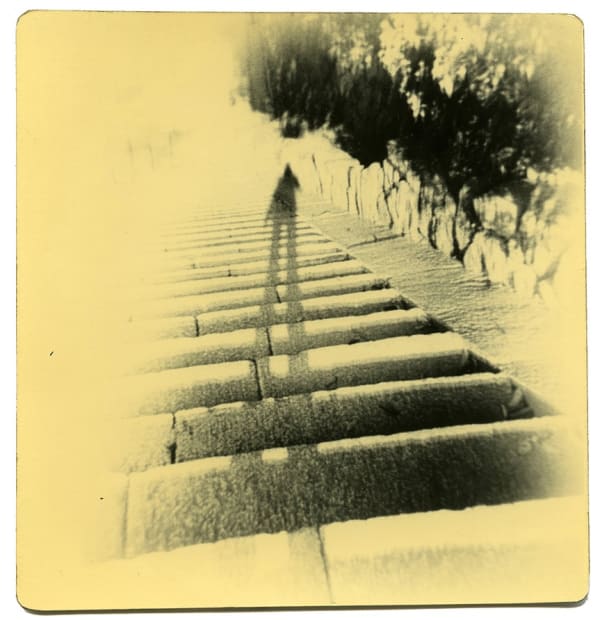 Miho Kajioka, BK0284, 2016