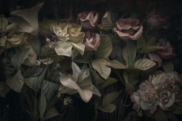 Christopher Thomas, Eternity 73, 2009