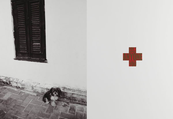 Christopher Thomas, Don´t expect anyone to support you, 2011