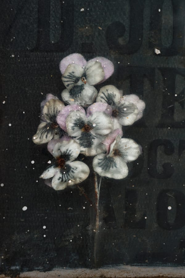 Christopher Thomas, Eternity 03, Cordoba, Spain, 2008