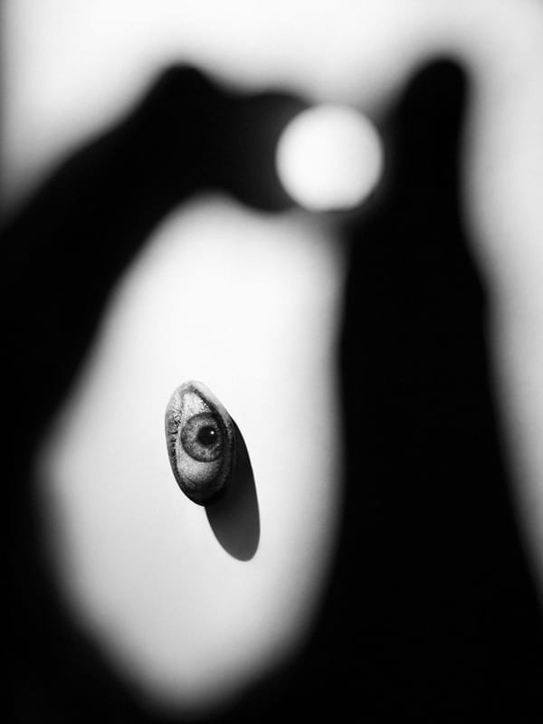 Marcus Schaefer, Eye & shadow hand, 2019