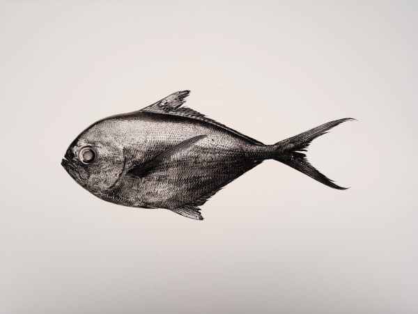 Jan C. Schlegel, Brama Brama, 2019