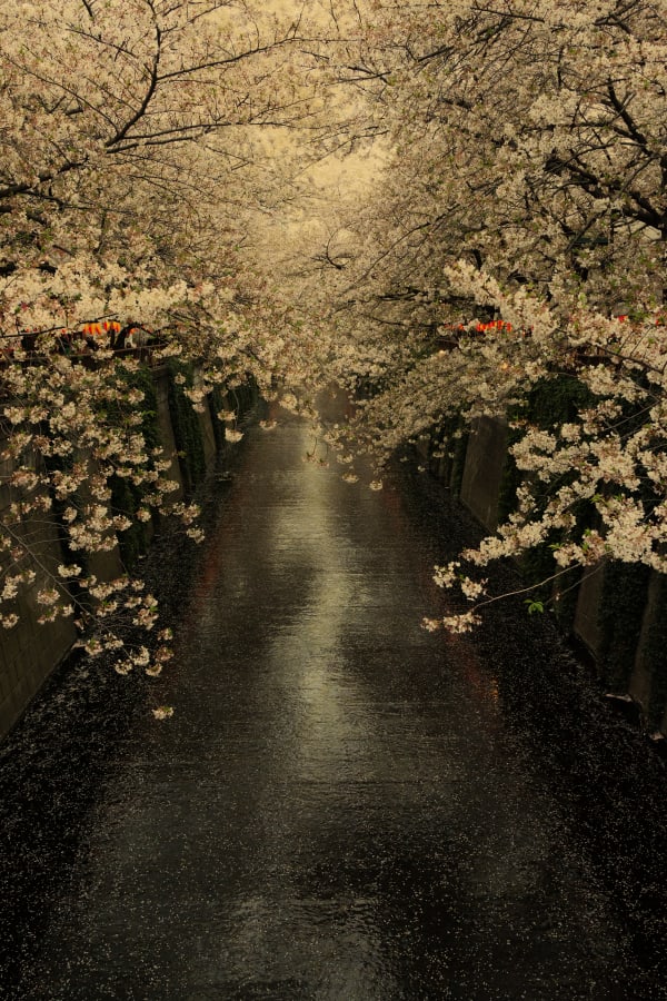 Albarrán Cabrera, The Mouth of Krishna, #111, Japan, 2013