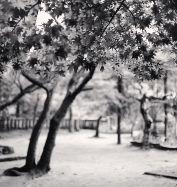 Michael Kenna, Temple Garden, Negoroji, Kagawa, Shikoku, Japan, 2003