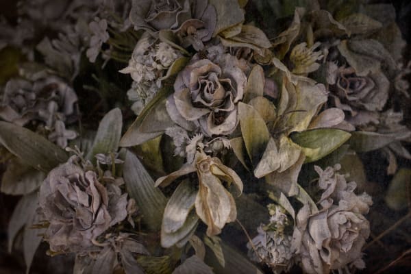 Christopher Thomas, Eternity 38, 2008